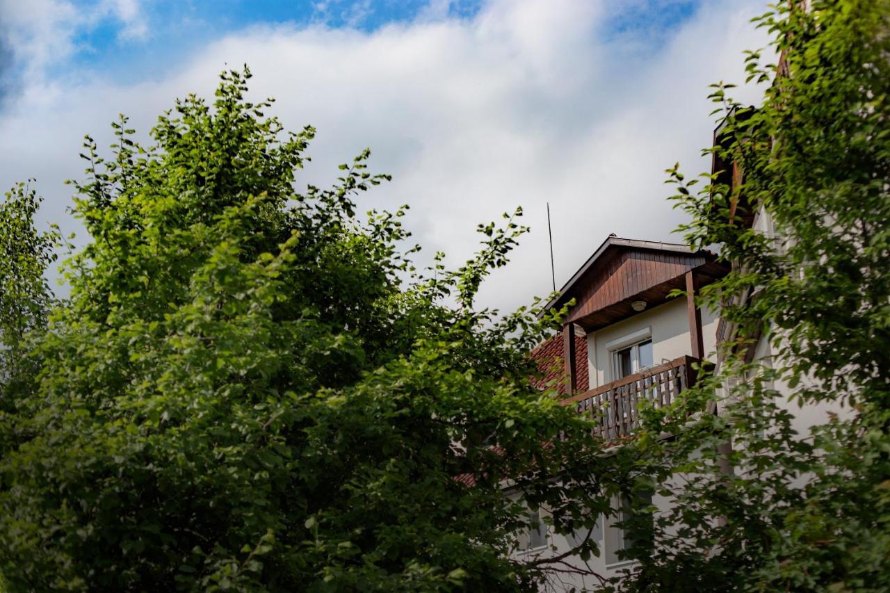 Alabastrom Panzio Es Etterem Bed & Breakfast Bogács Exterior foto