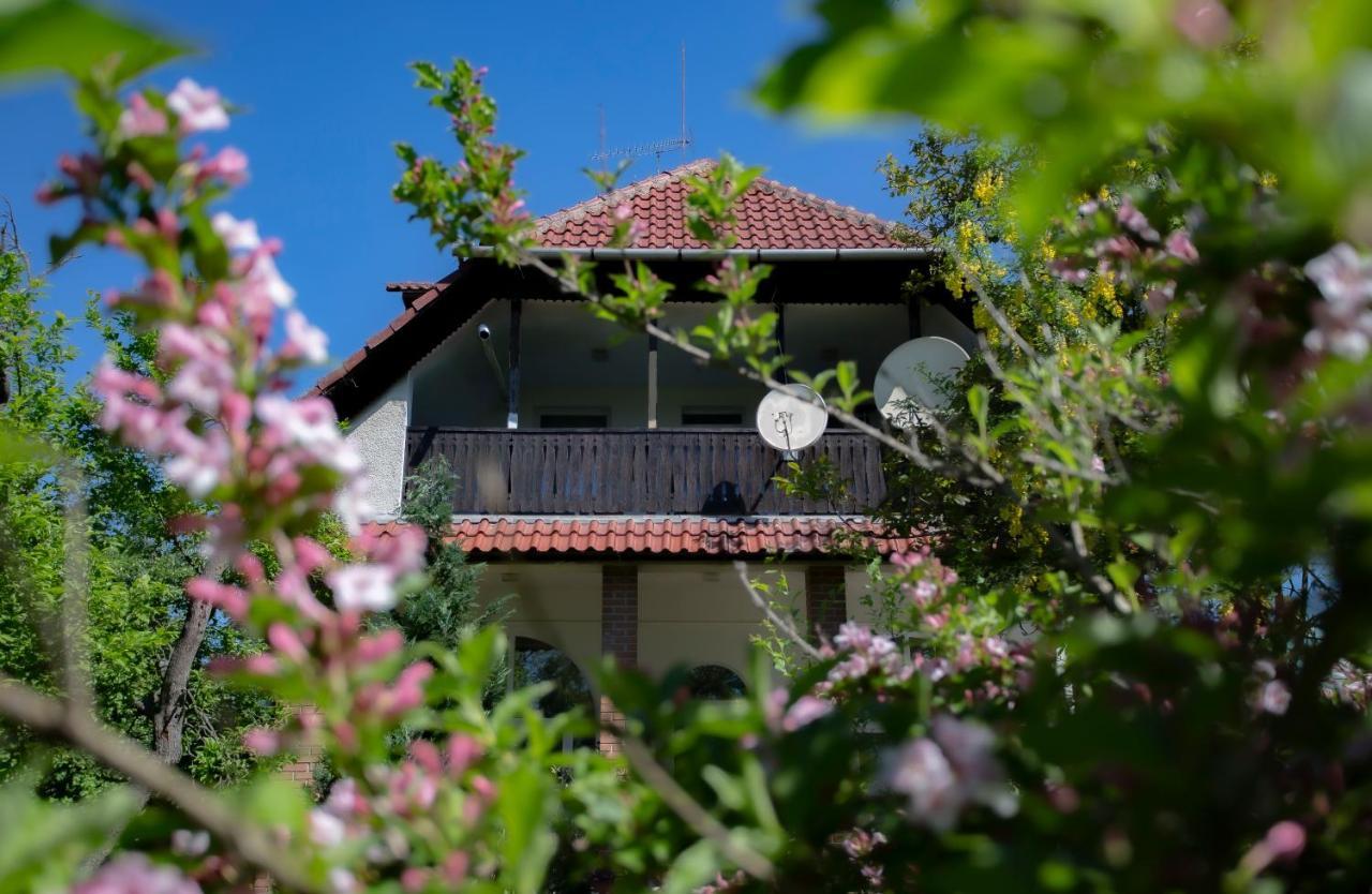 Alabastrom Panzio Es Etterem Bed & Breakfast Bogács Exterior foto